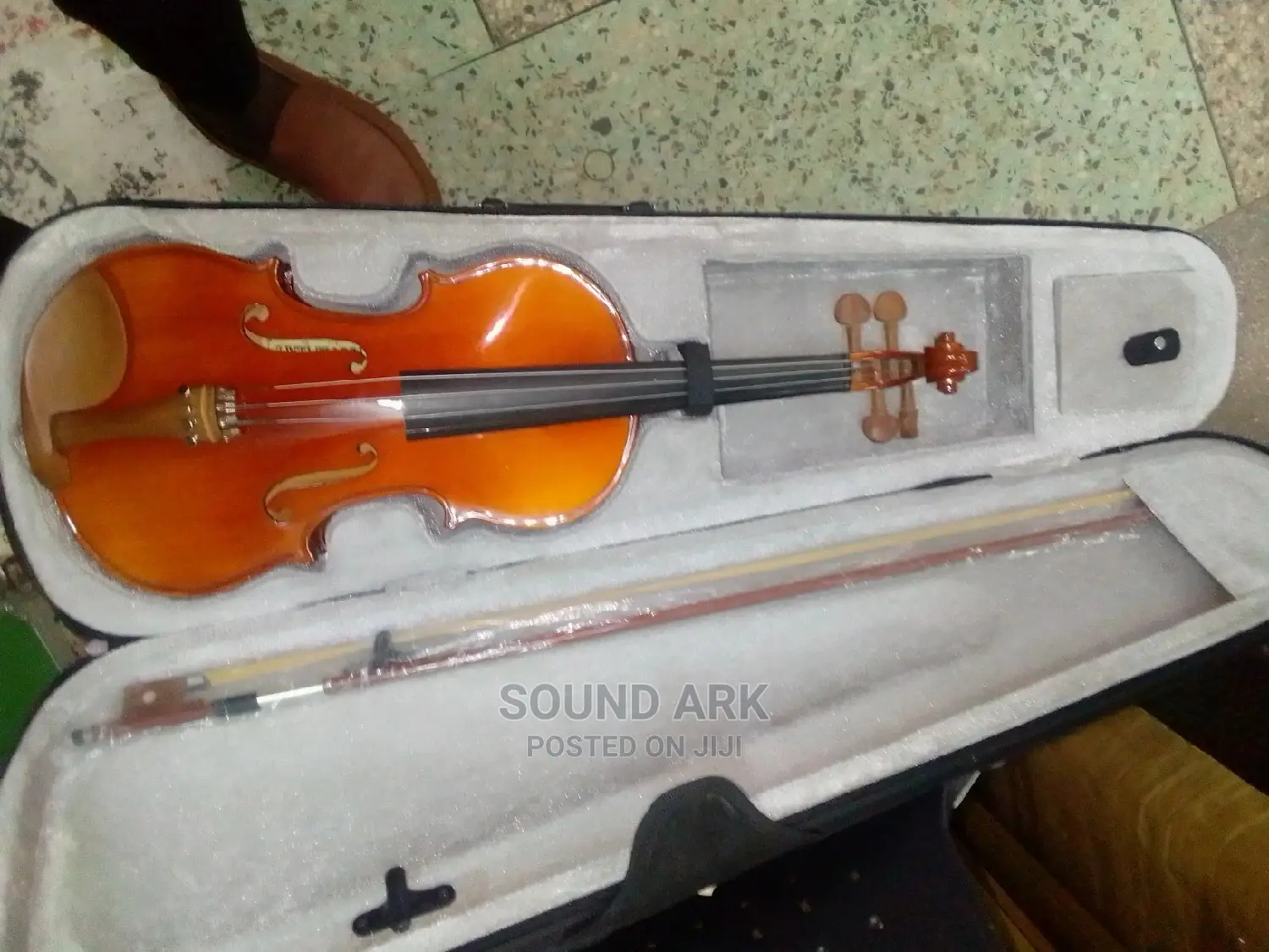 Violin Instrument