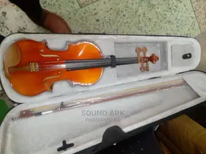 Violin Instrument