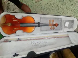 Violin Instrument