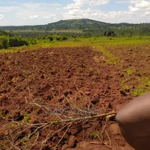 Four Acres on Forced Sale in Mpigi It Has Been on 40m to 31m