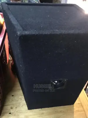 Pro Plus Speaker Plus Amplifier