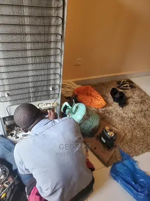 Fridge Repair Services