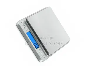 Stainless Portable Shop and Kitchen Scales