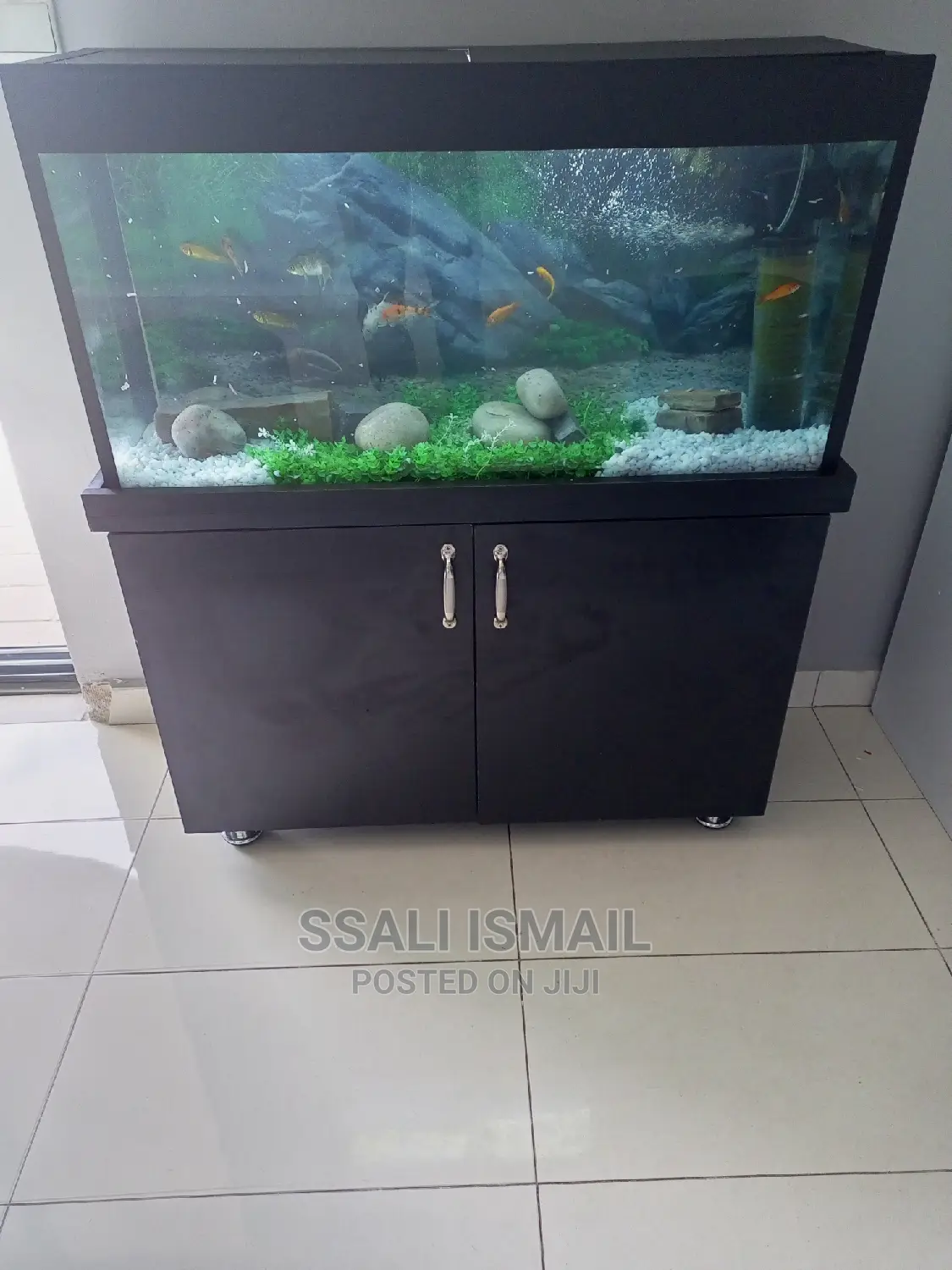 Simple And Neat Aquarium