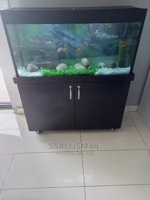 Simple And Neat Aquarium