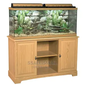 A Simple Aquarium With Good Set Up