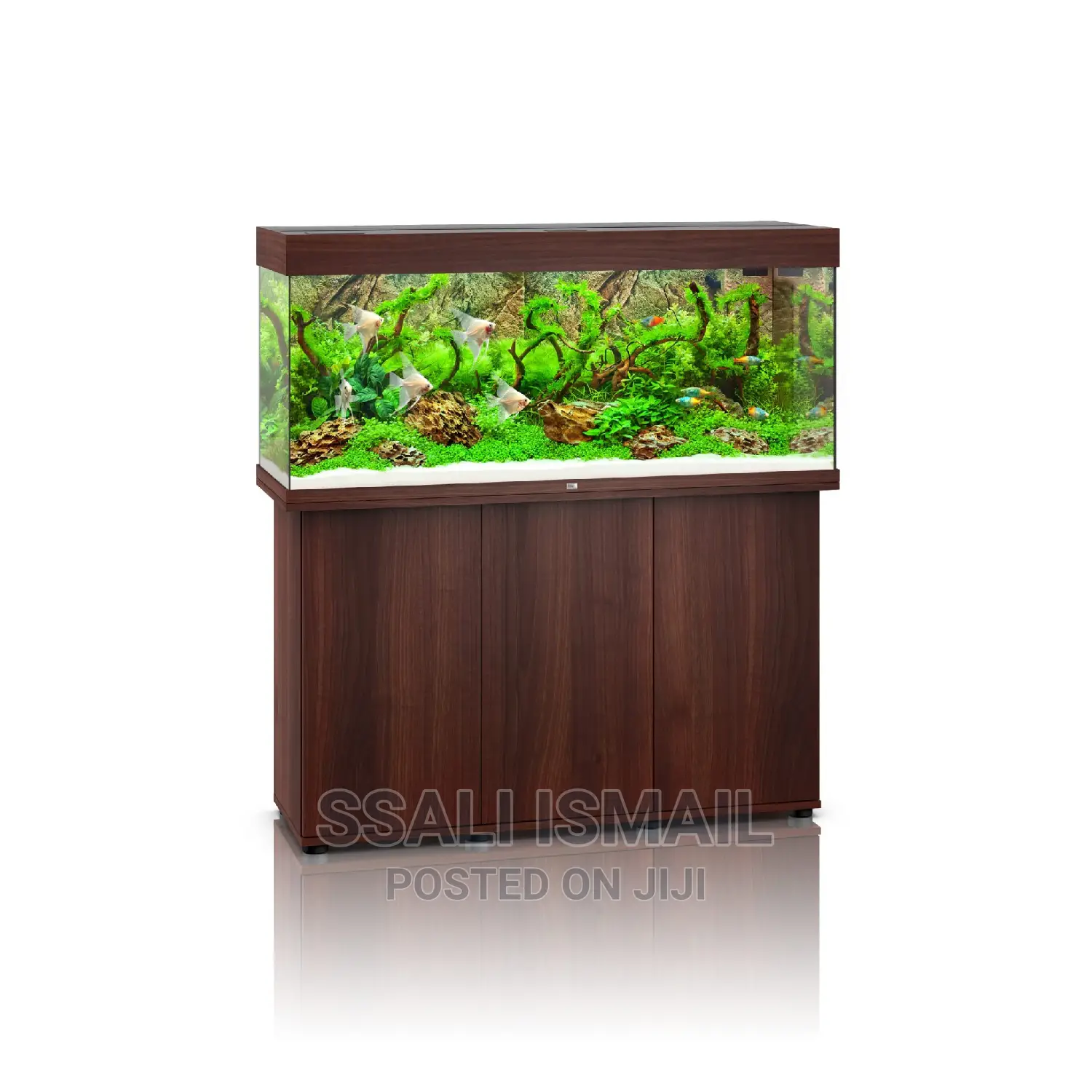 Best Chocolate Colour Aquarium