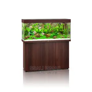 Best Chocolate Colour Aquarium