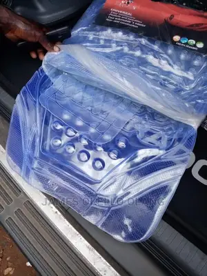 Transparent Car Carpets