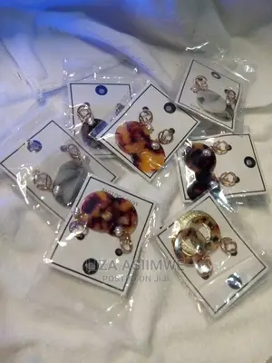 Stylish Earpins