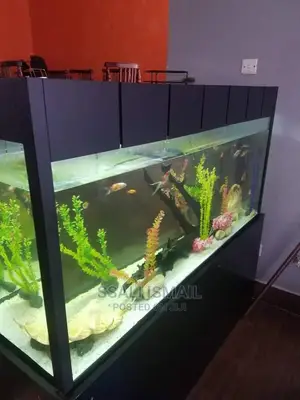 Best Aquarium in Pure Black Colour