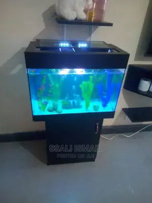 A Simple and Precise Aquarium