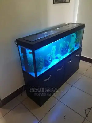 Acute Aquarium With Nice Setting