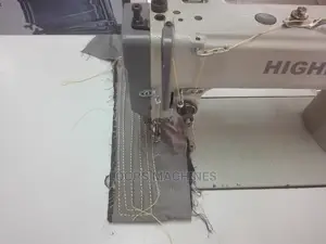 Highlead Walking Foot Sewing Machine