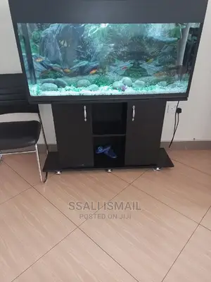 Crystal Clear Water in a Beautiful Aquarium