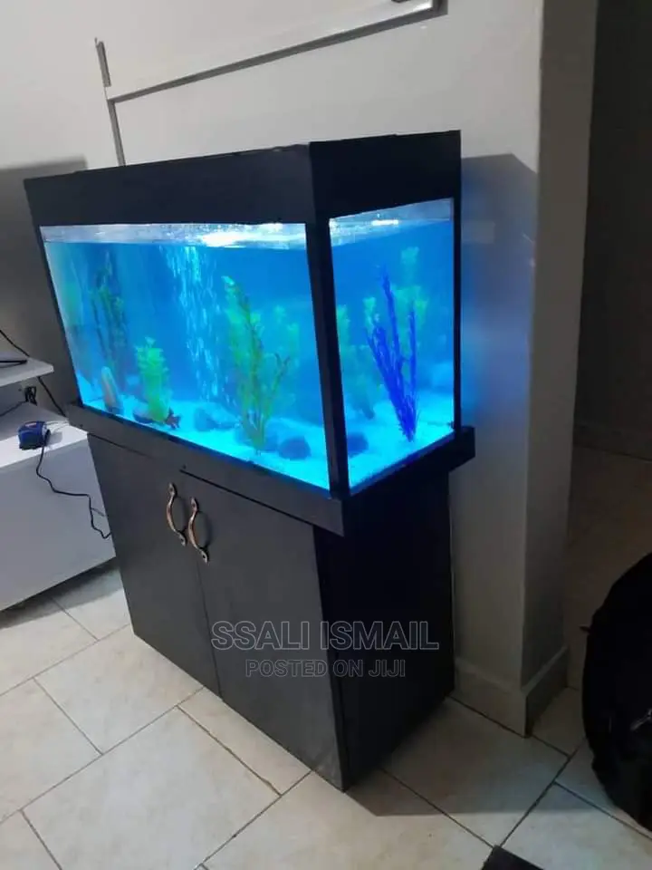 Easy to Maintain Beautiful Black Aquarium