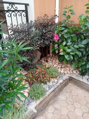 Landscaping Compound Designing
