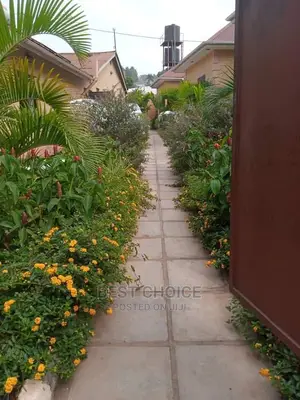 Compound Designing/Land Scarping.