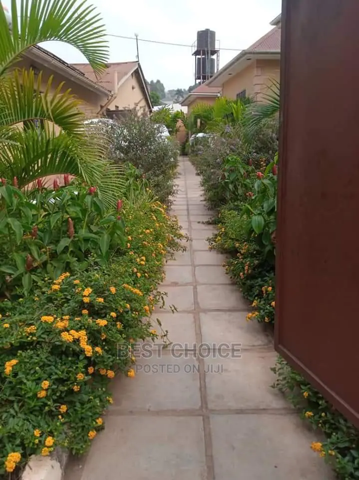 Compound Designing/Land Scarping.