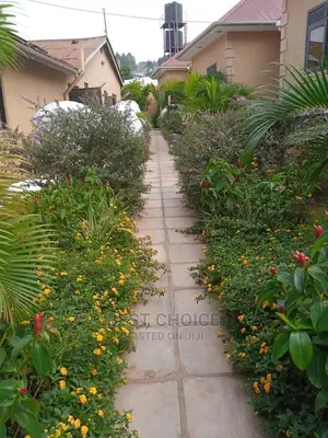 Compound Designing/Land Scarping.
