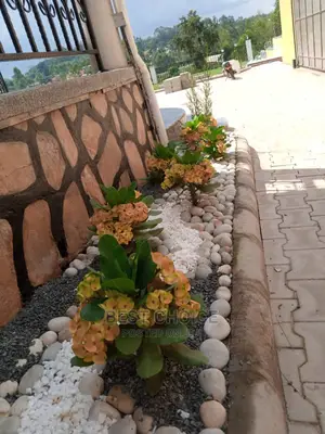 Expert Compound Designing, Land Scaping Services,Gardening Services