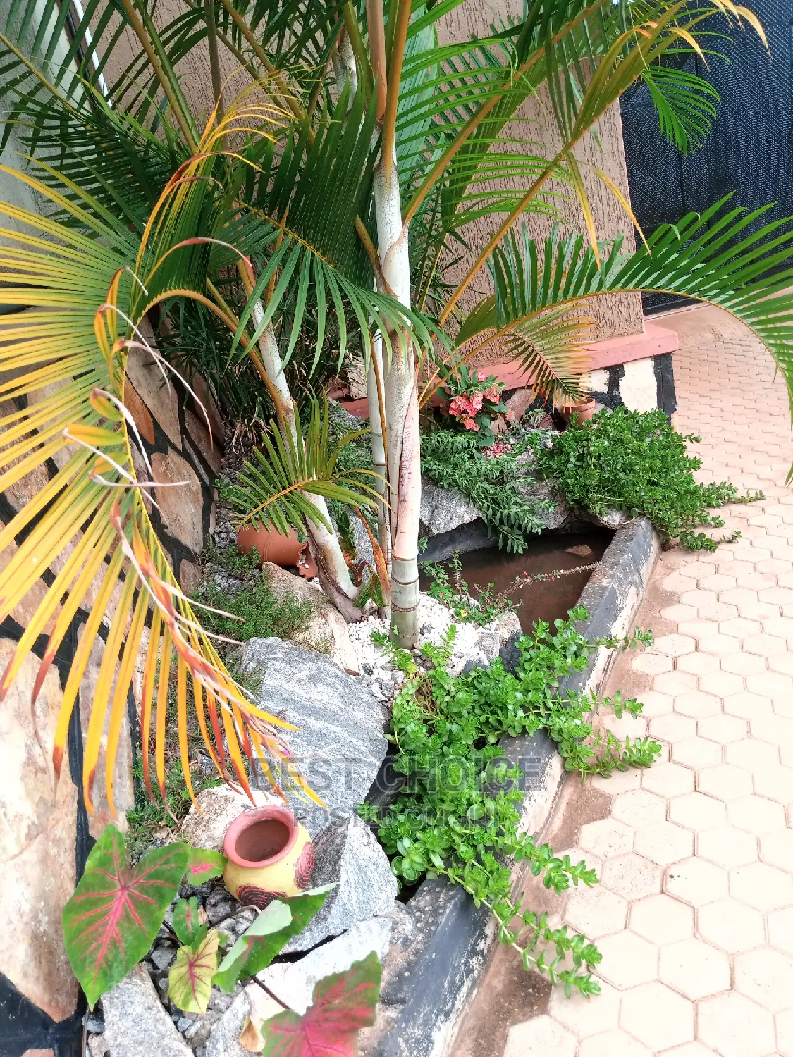 Expert Compound Designing, Land Scaping Services,Gardening Services