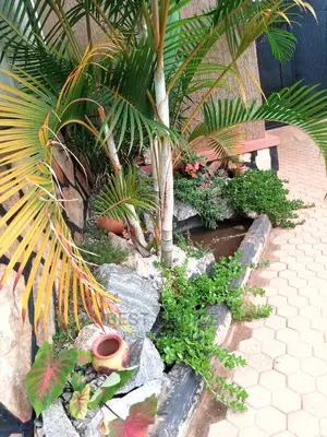 Expert Compound Designing, Land Scaping Services,Gardening Services