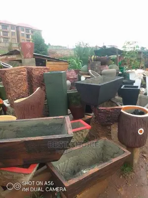 Compound Designing and Land Scaping.
