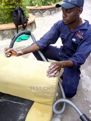 Sofa and Carpet Cleaning Services.