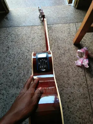 Audio Acoustic Guitar Powered