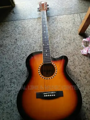 Audio Acoustic Guitar Powered