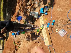 Water Pump Frog