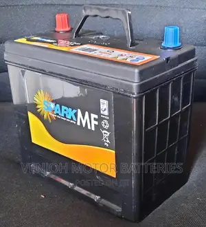 NS60 Spark Maintainance Free Car Battery