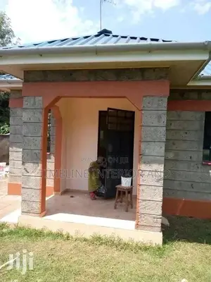Nice Painting Services