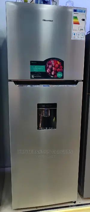 Hisense Double Door 419 Liters Silver With Water Dispenser
