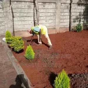 Landscaping Services