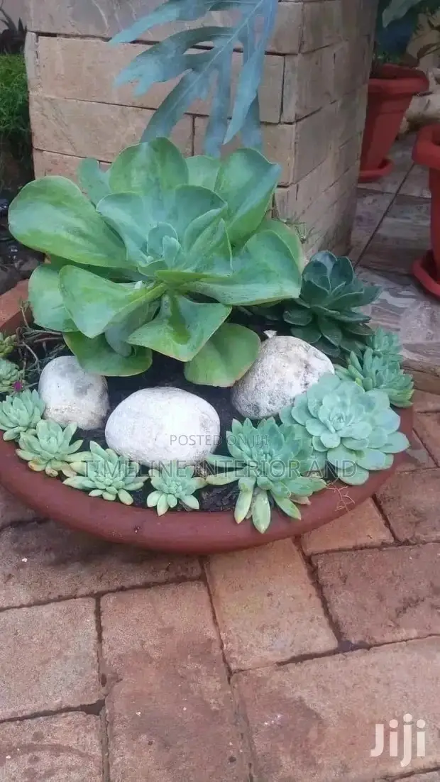 Compound Gardening Designers and Experts.