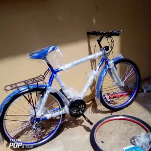 Adults Bikess