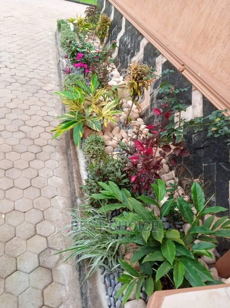 Compound Designing And Land Scaping.