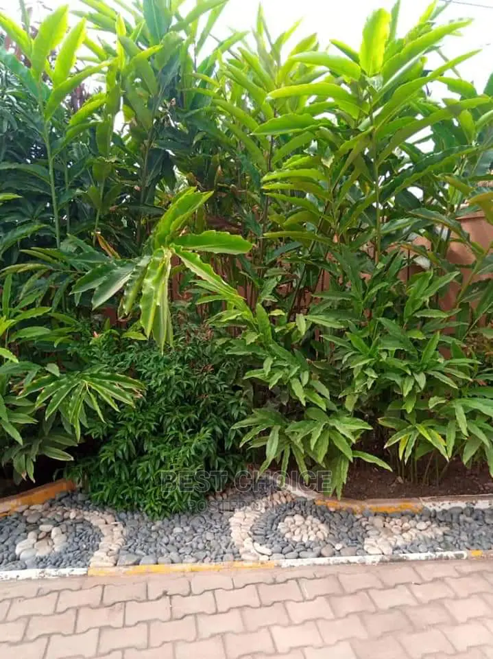 Land Scaping Experts.