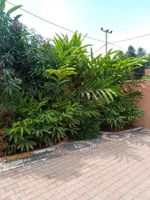 Land Scaping Experts.