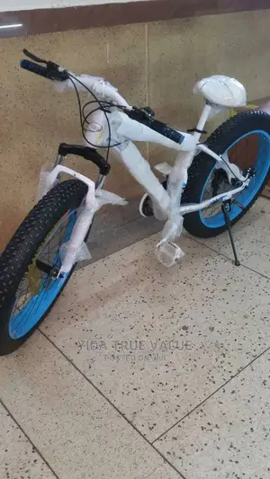 Big Tyre Bicycle