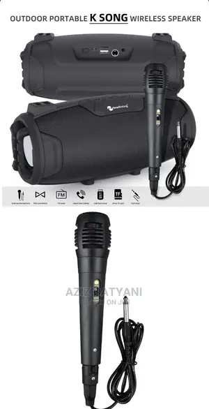 Outdoor Karoke Wireless Speaker With Microphone NR 6012m