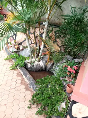 Land Scarping,Experts in Compound Designing.