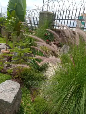 Land Scarping,Experts in Compound Designing.
