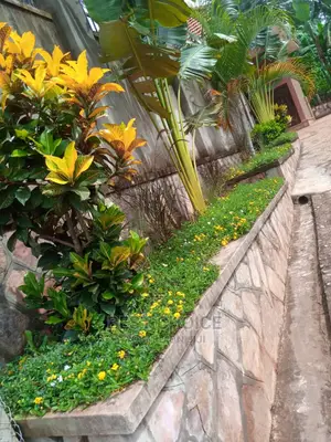 Compound Designing,Plants,Flowers,Grass,Pots Replacement.