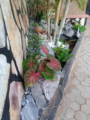 Exceptional Land Scarping/Compound Designing.