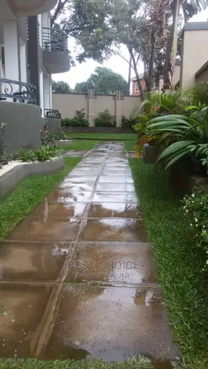 Advanced Concrete Cleaning Services.