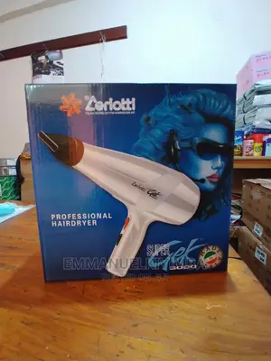Professional Hair Dryer
