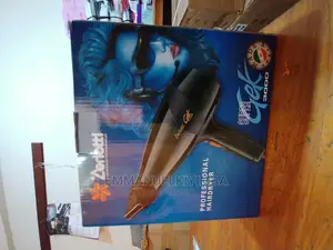 Professional Hair Dryer